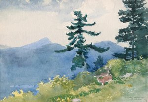 North Woods Club, Adirondacks (Il tete-a-tete interrotto) da Winslow Homer