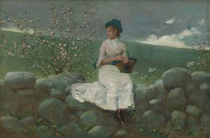 Fiori di pesco