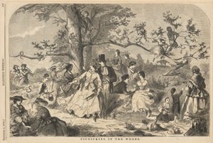 Picnic nel Bosco, da Harper