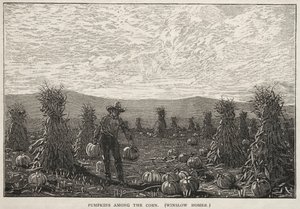 Zucca tra il Mais da Winslow Homer