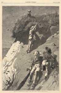 Incursione in una colonia di rondini di sabbia