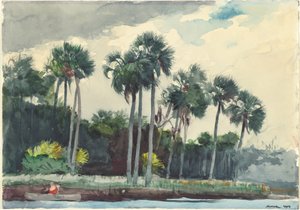 Camicia rossa, Homosassa, Florida