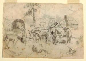 Muli a riposo legati ai carri da Winslow Homer