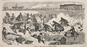 Scena sulle terre di Back Bay, Boston da Winslow Homer