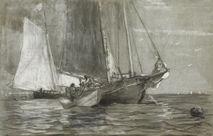 Schooner all