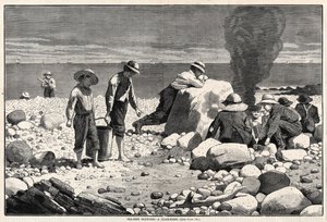  da Winslow Homer