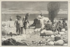  da Winslow Homer