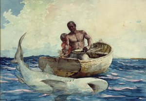 Pesca allo squalo, 1885