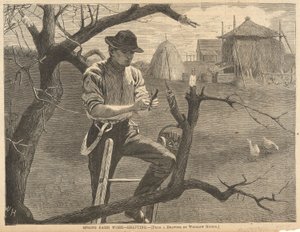 Lavoro agricolo primaverile