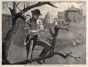  da Winslow Homer