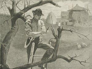 da Winslow Homer