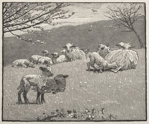  da Winslow Homer