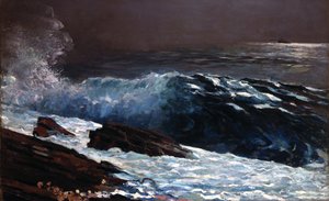 La luce del sole sulla costa da Winslow Homer