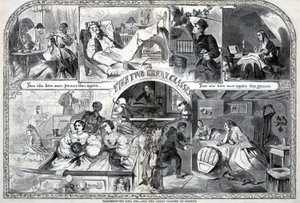 Giorno del Ringraziamento, 1860, Le due grandi classi della società, da Harper