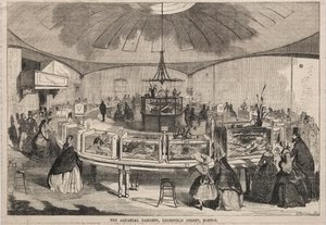 I Giardini Acquariali, Bromfield Street, Boston, 1859 da Winslow Homer