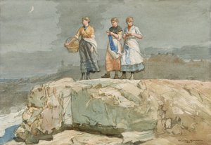 Le scogliere da Winslow Homer