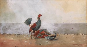 Il combattimento dei galli