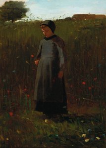 I fiori del campo da Winslow Homer