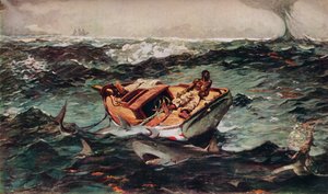 La Corrente del Golfo da Winslow Homer