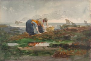  da Winslow Homer