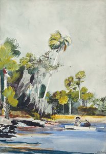 Il mucchio di conchiglie da Winslow Homer