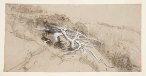 Radici di alberi su una collina, Prout