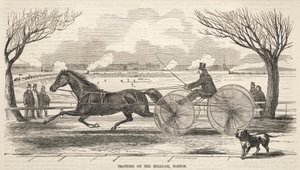 Trotto sulla diga del Mulino, Boston da Winslow Homer