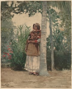 Sotto una Palma