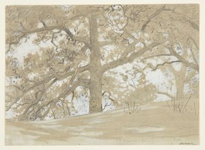 Waverly Oaks da Winslow Homer