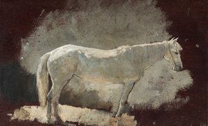 Cavalla bianca, c. 1868 da Winslow Homer