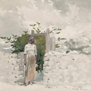 Donna in piedi davanti a un cancello, Bahamas da Winslow Homer