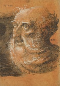 Studio della testa, 1522 da Wolf Huber