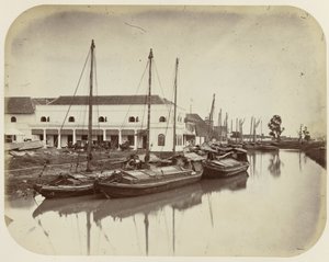 Grande albero sul canale del porto a Batavia da Woodbury and Page