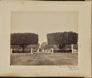 Alberi vicino a Waterpaleis. Djokjakarta da Woodbury and Page