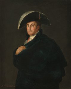 Il duca di Wellington da Workshop of Francisco de Goya