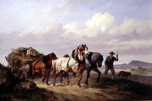 Una squadra di cavalli da tiro