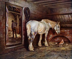 Alla fine della giornata: cavallo nelle stalle mentre un uomo pulisce