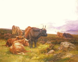 Highlander vicino a un lago