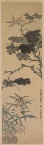 Piante in fiore da Wu Rangzhi