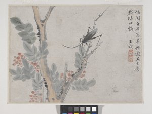 Insetto e albero dopo Shen Zhou da Wu Wang