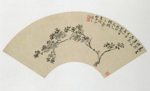 Albicocca, XIX secolo da Wu Xizai