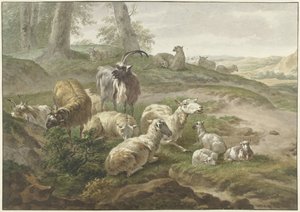 Capre e pecore in un paesaggio collinare