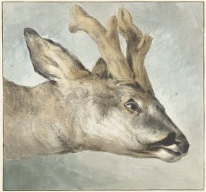 Testa di un capriolo da Wybrand Hendriks