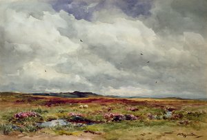 Una giornata ventosa, Dartmoor