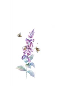 Api e fiori ad acquerello da Xuan Thai