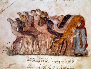 Un gruppo di cammelli e cammelliere, carovana nel deserto. Pagina di 
