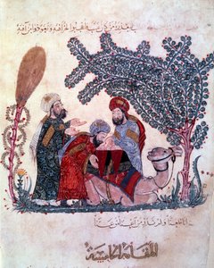 il borghese al-Harith (Al Harith), figlio di Hammam, scopre un messaggio dal navigatore errante Abu-Zayd (Abu Zayd) Miniatura tratta dalle “Maqamat” (Seances) di Abu Mohammed al-Kasim ibn Ali Hariri (o Al-Hariri o Al Hariri) (1054-1122) miniato