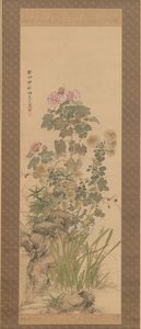 Fiori d