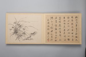 Eleganza raffinata nelle quattro stagioni Shiji seiga, Album di dipinti floreali, 1844 da Yamamoto Baiitsu