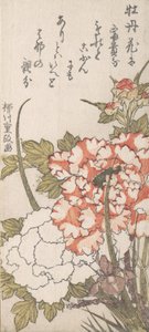Peonie e Iris da Yanagawa Shigemasa